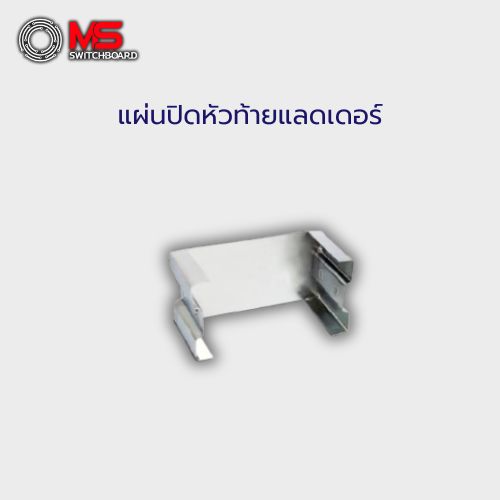แผ่นปิดหัวท้ายแลดเดอร์